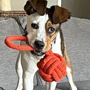 Meet your Posher, Lori